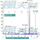 Blue Cypress-澳洲藍絲柏 Blue Cypress-澳洲藍絲柏